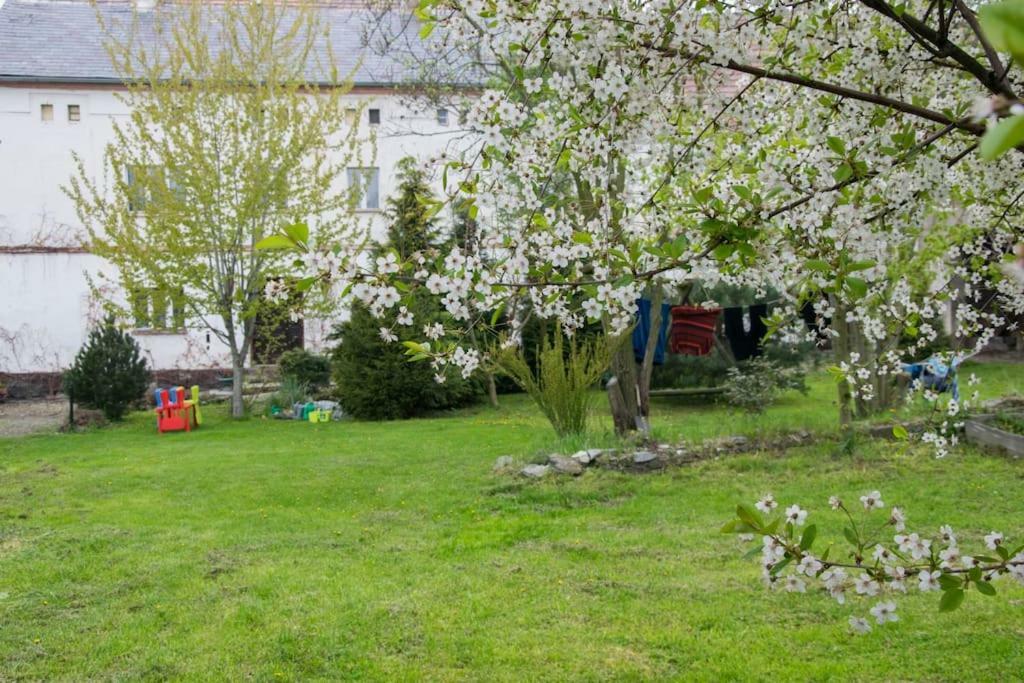 Gospodarstwo U Krakusa Doboszowice Ngoại thất bức ảnh