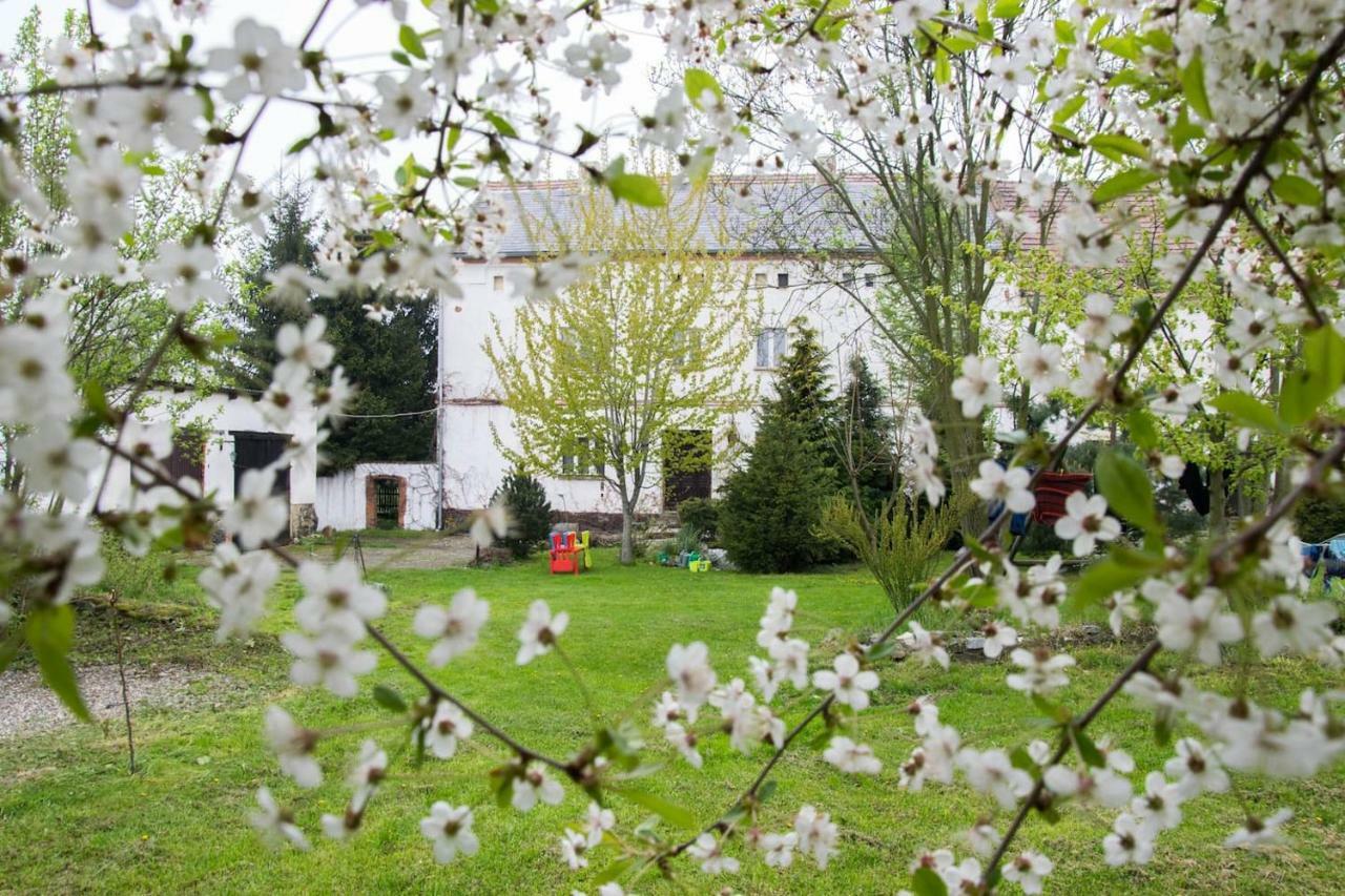 Gospodarstwo U Krakusa Doboszowice Ngoại thất bức ảnh