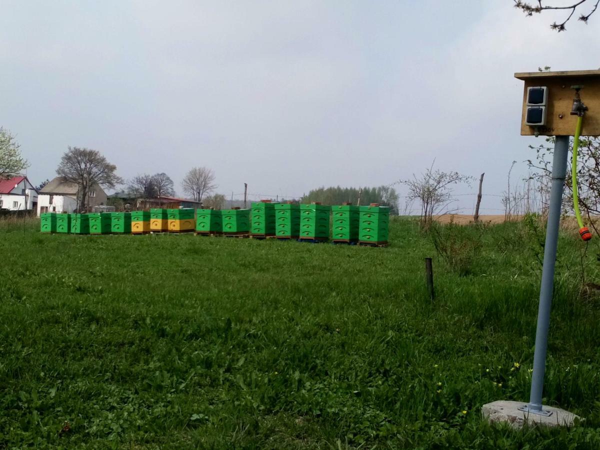 Gospodarstwo U Krakusa Doboszowice Ngoại thất bức ảnh